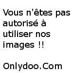 recheche une image
